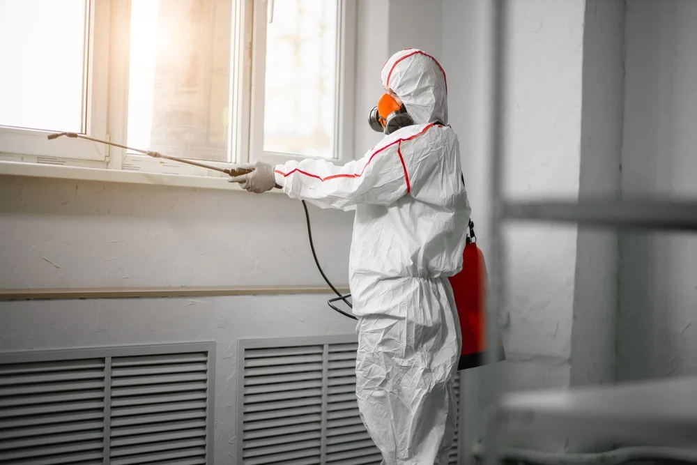 Professional mold remediation services in Litchfield, MN